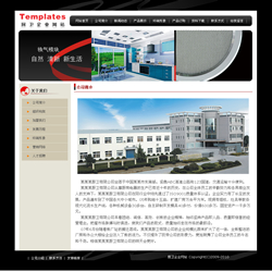 廚衛(wèi)企業(yè)網(wǎng)站