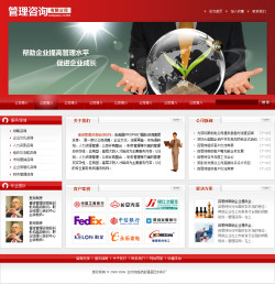 管理咨詢公司網(wǎng)站