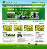 昌農(nóng)葡萄網(wǎng)站制作