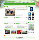 小葦芝港村官網(wǎng)建設(shè)